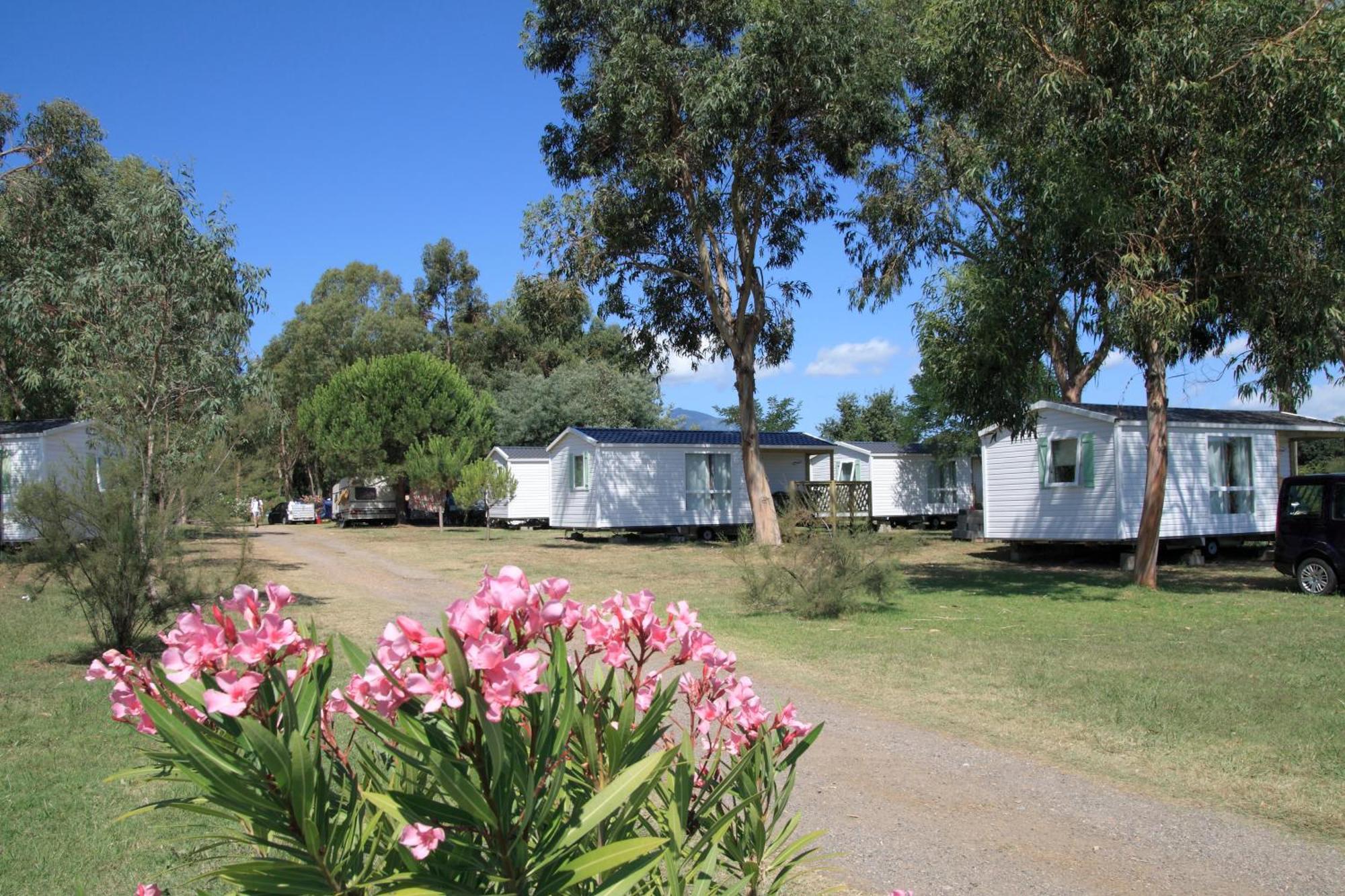 Отель Camping Miami Plage Поджо-Меццана Экстерьер фото